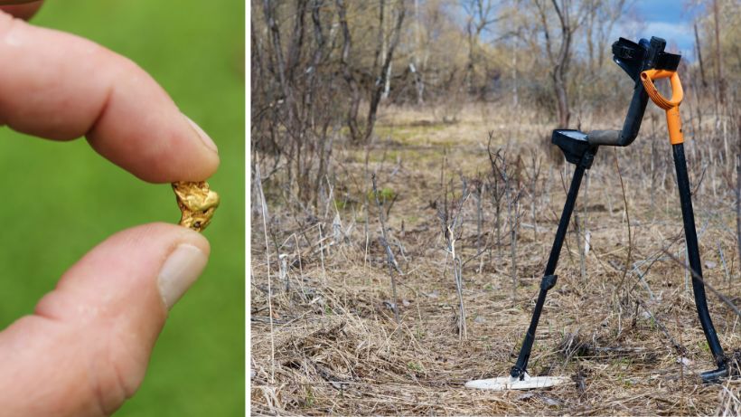 Goldsuche mit Metalldetektor, unter welchen Voraussetzungen und Bedienungen ist ein PI-Detektor die richtige Wahl?
