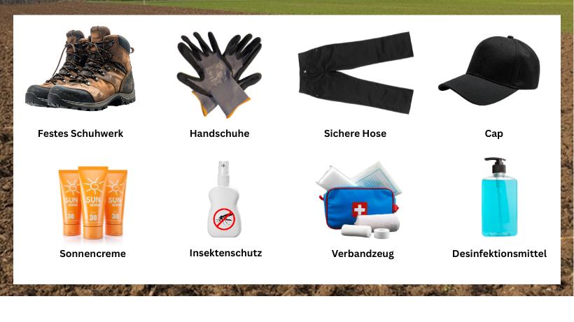 Schatzsuche Sicherheit