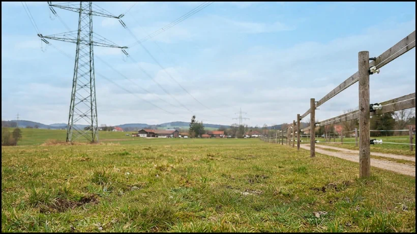 Landschaft mit Hochspannungsleitung, Weidezaun und nahen Gebäuden – typische Störquellen, die Metalldetektoren Geistersignale und instabile Leitwerte verursachen können.