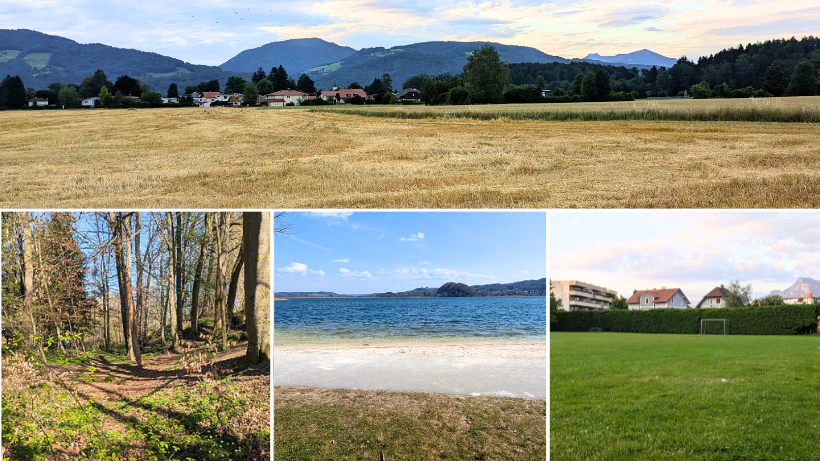 Collage aus vier typischen Sondel‑Suchgebieten: Acker, Wald, Seeufer und Parkwiese – als Übersicht der wichtigsten Einsatzorte für Metalldetektoren.