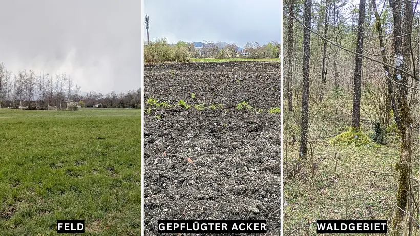 Die Schatzsuche im Feld, Acker oder Wald. Sehr interessant und Lohnenswerte Suchspots zum Sondeln. Aber Vorsicht, halte dich an die gesetzlichen Bestimmungen!