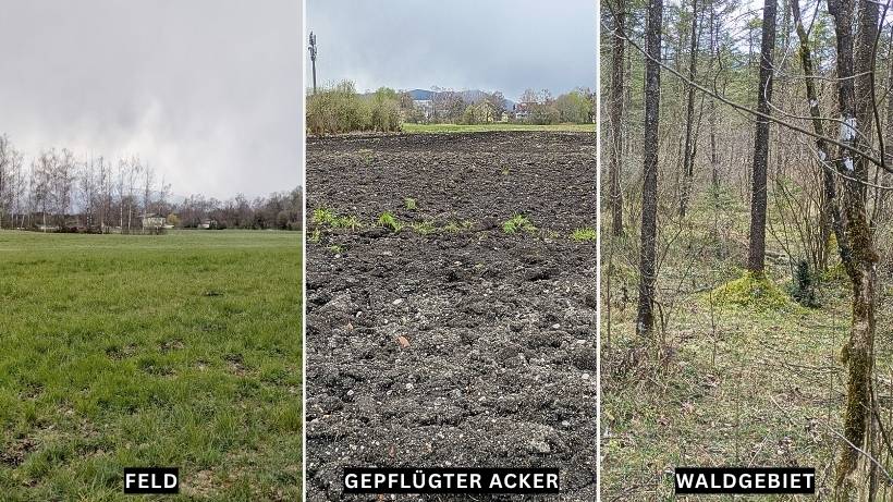 Die Schatzsuche im Feld, Acker oder Wald. Sehr interessant und Lohnenswerte Suchspots zum Sondeln. Aber Vorsicht, halte dich an die gesetzlichen Bestimmungen!