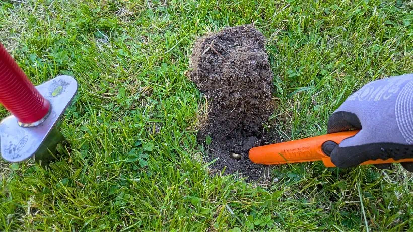Pinpointer im Grabungsloch: Feinortung eines Fundes mit Grabungsmesser im Gras
