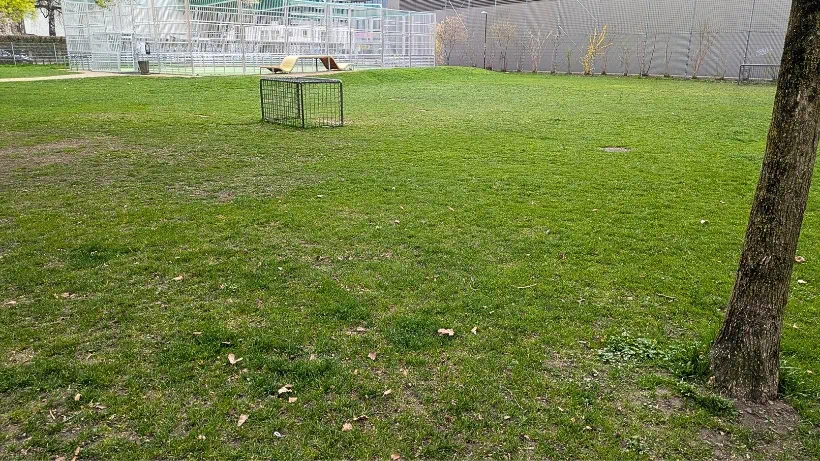 Eine Fußballwiese ist ein Lohnenswerter Suchspot für die Kleingeld und Schmucksuche mit dem Metalldetektor
