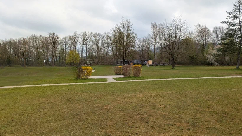 Liegewiese als typisches Suchgebiet beim Sondeln, weiche Grasfläche mit Bäumen. Guter Spot um Münzen und Schmuck zu finden.