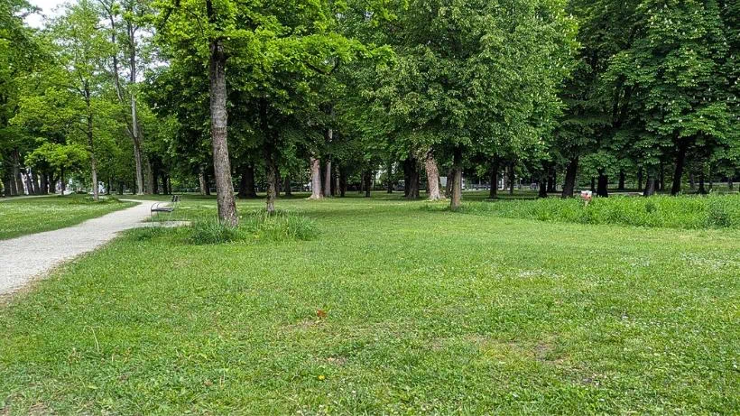 Offene Wiese mit umliegenden Bäumen in einem Park; typisches Suchgebiet für Metalldetektoren.