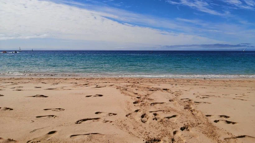 Mit dem Metalldetektor und Pinpointer am Strand suchen
