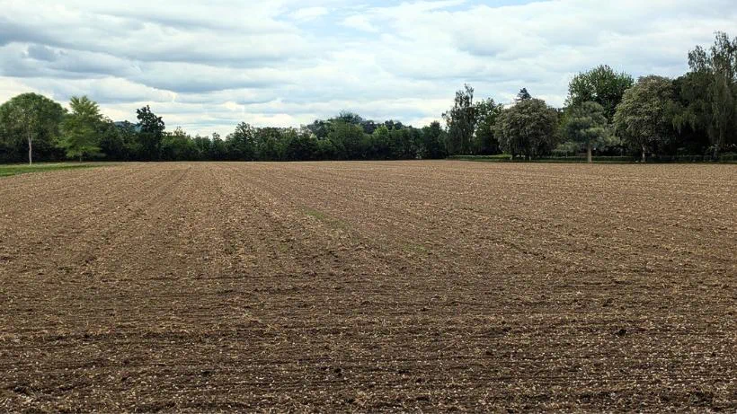 Typisches Suchgebiet gepflügter Acker / Feld für die Schatzsuche mit Metalldetektor