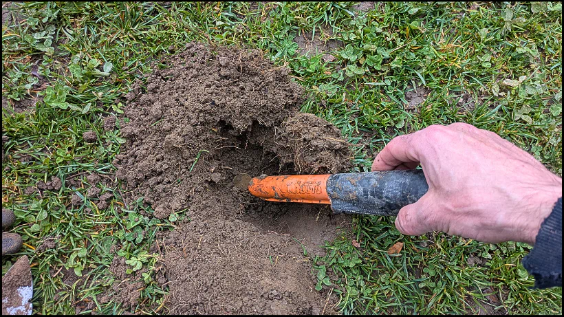 Garrett Pro-Pointer AT Test draußen, test im realen Testgebiet draußen, auf reichweite, Empfindlichkeit, Handling.