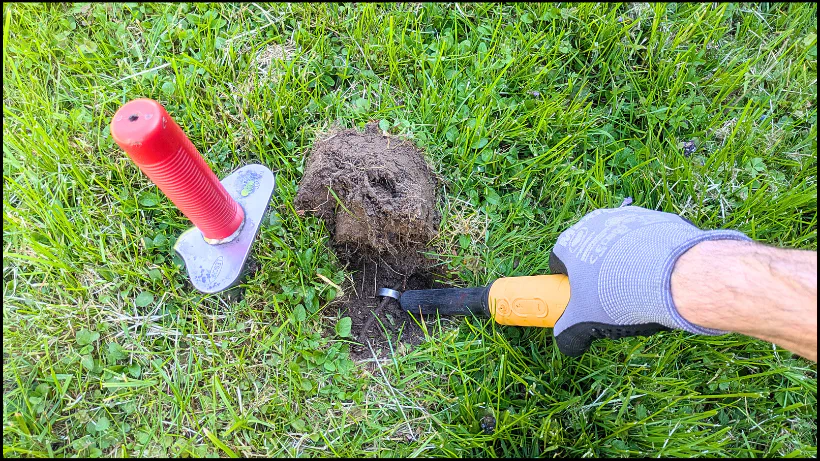 Sondler hebt einen Erdplug aus und nutzt einen Pinpointer neben dem Loch, realistische Darstellung der Tiefenleistung und Reichweite im praktischen Einsatz.