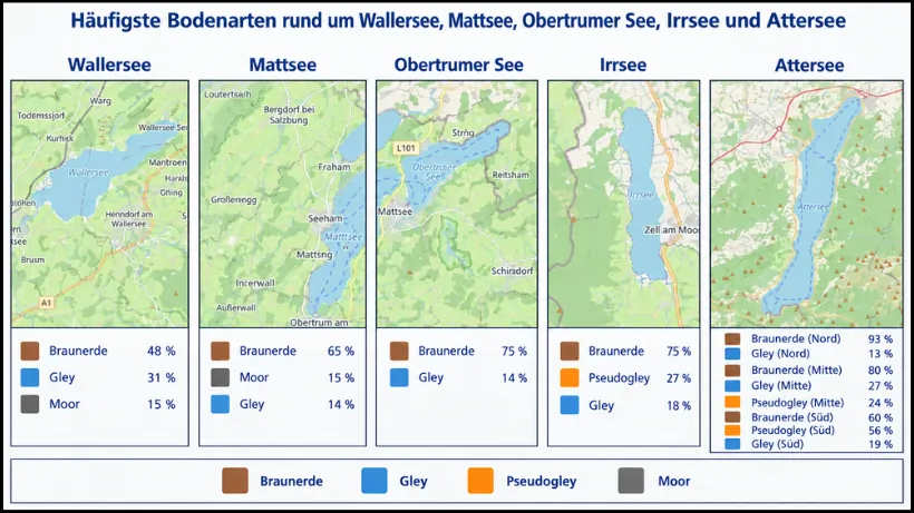Bodenarten rund um Wallersee, Mattsee, Obertrumer See, Irrsee und Attersee mit Kartenansicht der Seenregion sowie den Anteilen von Braunerde, Gley, Moor und Pseudogley in einem Umkreis von 2 km um die Seen. Datengrundlage: orecast und amtliche Bodendaten.